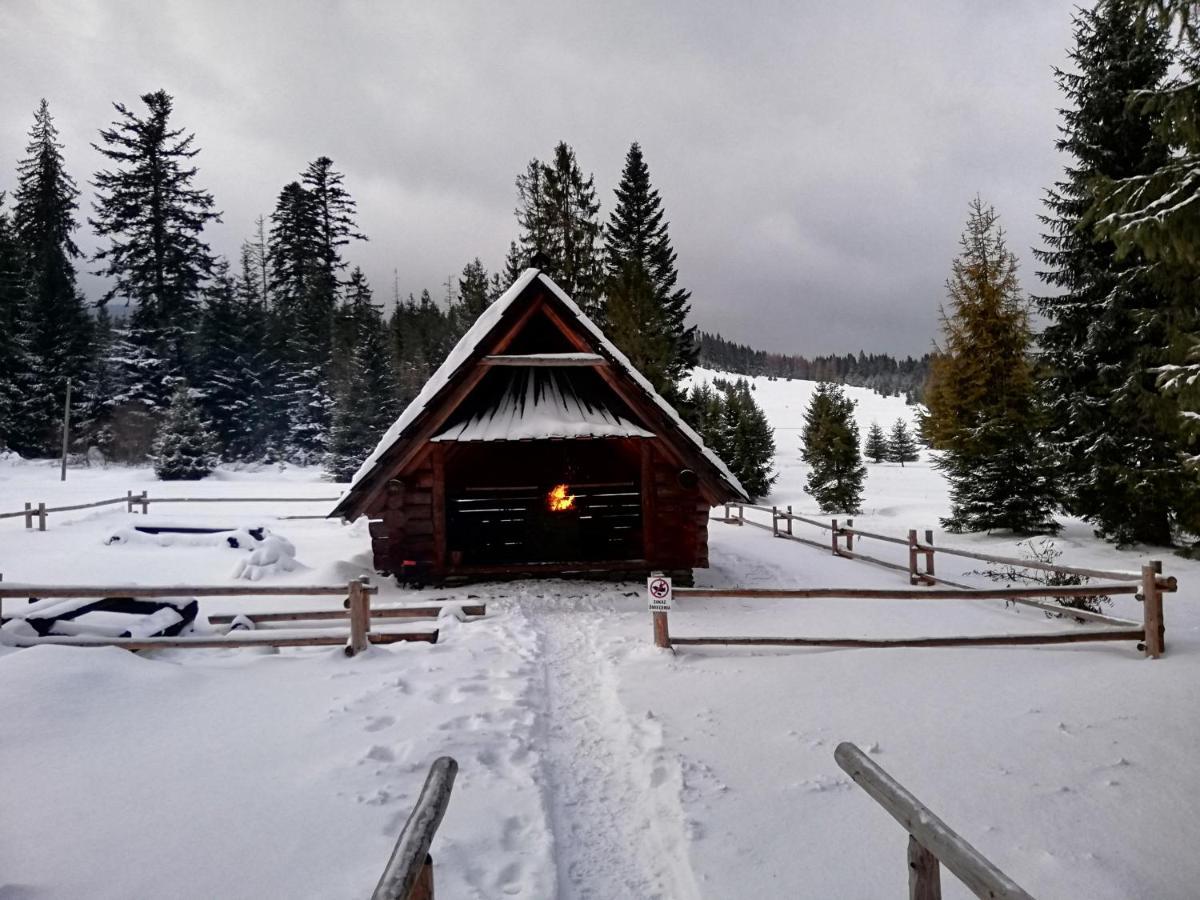 Gorska Lesniczowka Villa Zubrzyca Gorna Luaran gambar