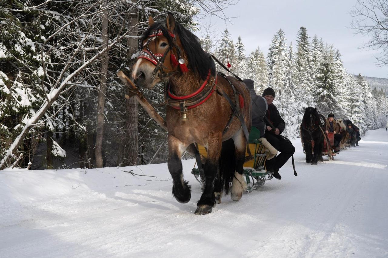 Gorska Lesniczowka Villa Zubrzyca Gorna Luaran gambar