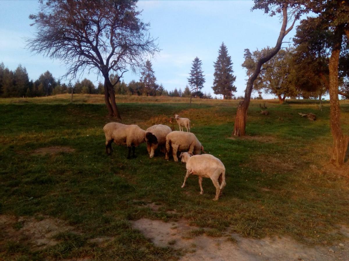 Gorska Lesniczowka Villa Zubrzyca Gorna Luaran gambar